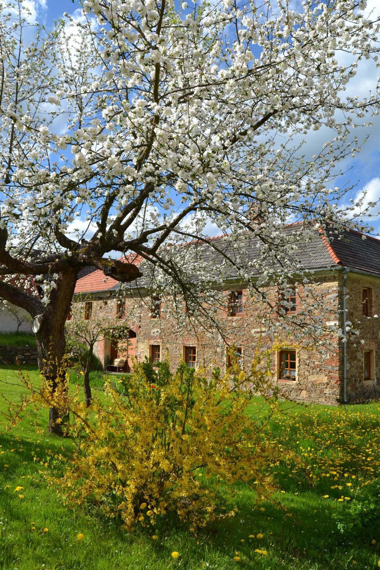 Selsky Dvur Daire Kájov Dış mekan fotoğraf